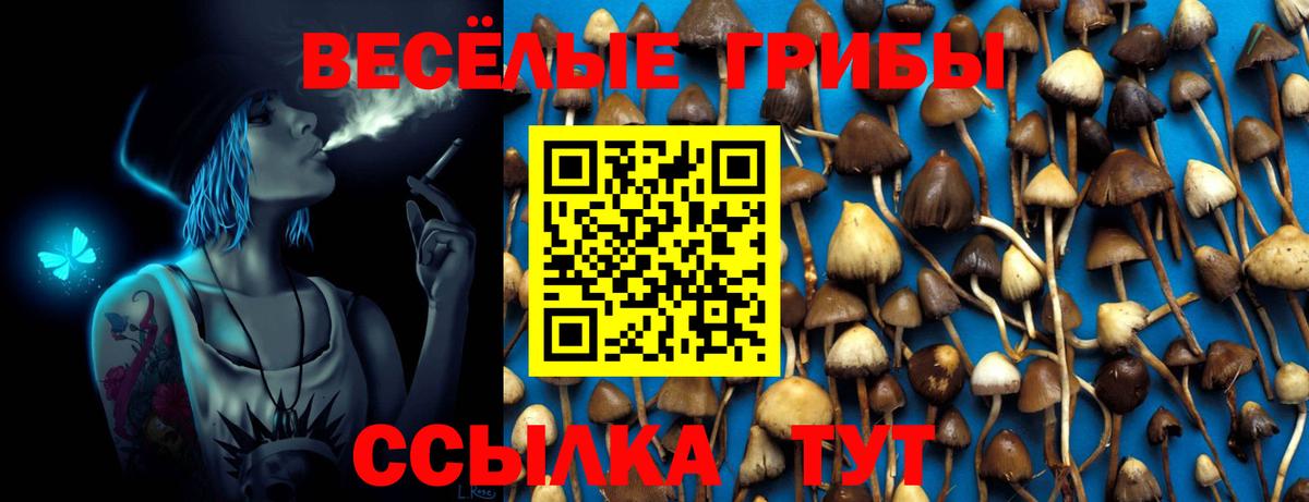 Псилоцибиновые грибы Psilocybine cubensis  Вход с VPN  Павловский Посад 